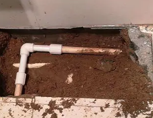 赤水测漏水哪家好