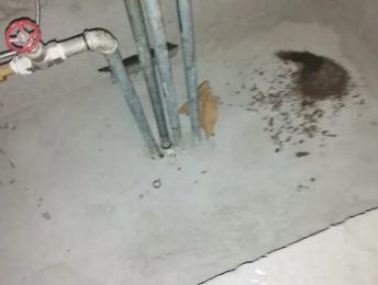 赤水卫生间测漏水价格明细